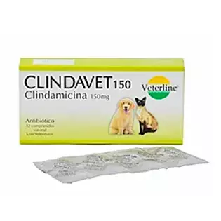 Clindavet Clindamicina