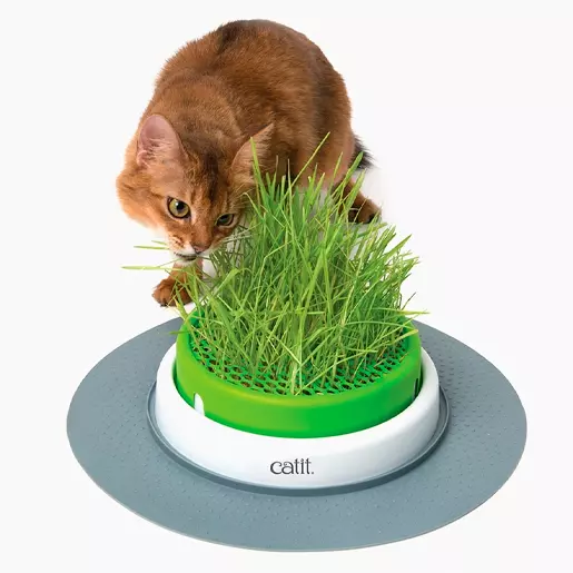 Cat It Senses 2.0 Grass Planter