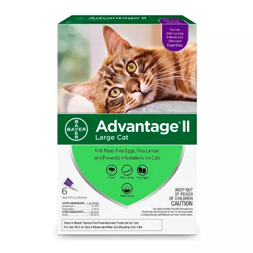 Bayer Advantage Prevención De Pulgas Para Gatos