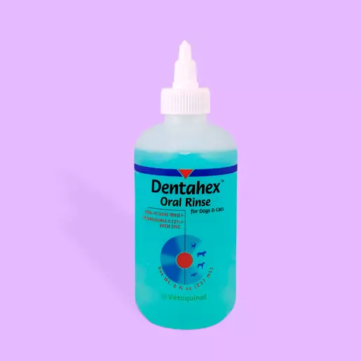 Dentahex rinse best sale