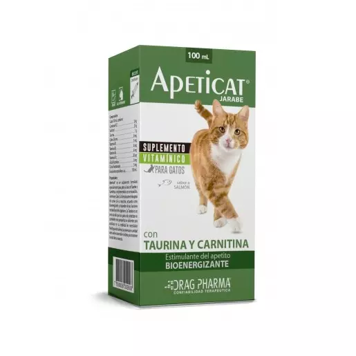 Dragpharma Apeticat Jarabe X 100 Ml