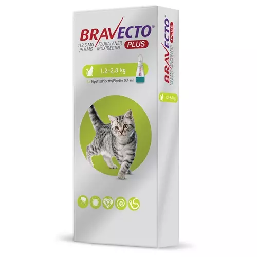 Bravecto Plus 112.5 mg Spot-On Cats 1.2kg A 2.8kg