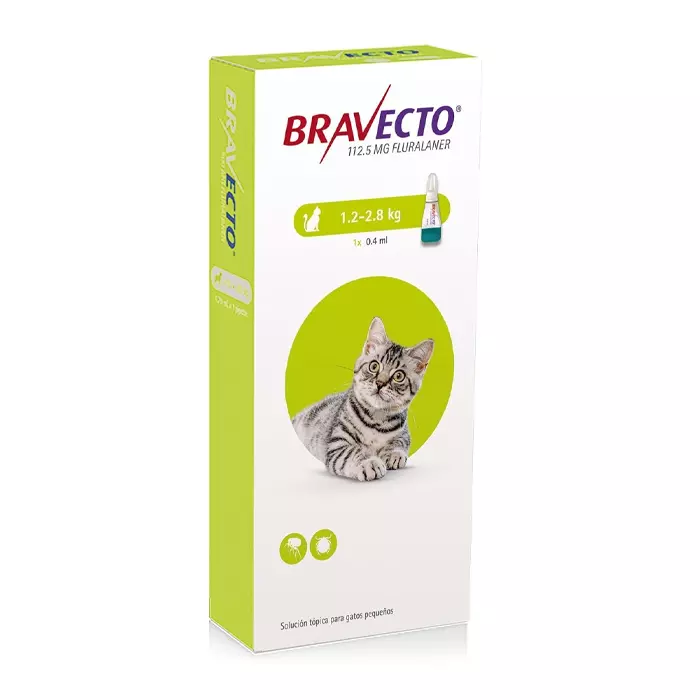 Bravecto pipeta Antipulgas para gatos de 1.2kg – 2.8kg