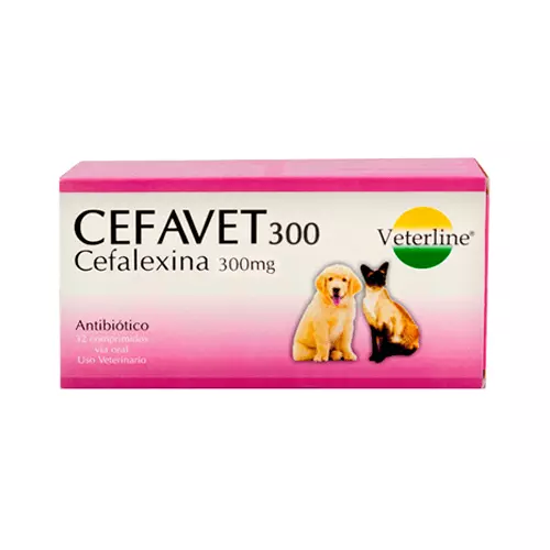 Cefavet 300mg y 600mg