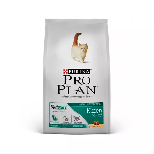 ProPlan Kitten - Gatitos