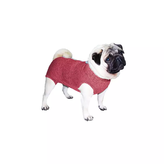 PetMed Faja Pos-Quirurgica Pug