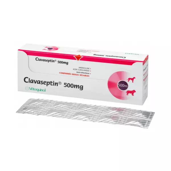 Clavaseptin 500mg