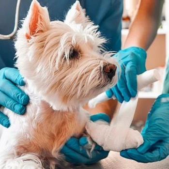 Emergencia veterinaria