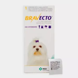 Comprimido antipulgas Bravecto para perros de 2 a 4.5 kg