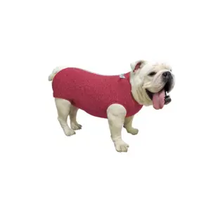 PetMed Faja Pos-Quirurgica Bulldog Inglés