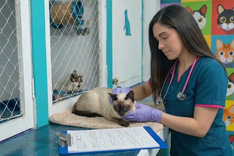 Monitoreo veterinario